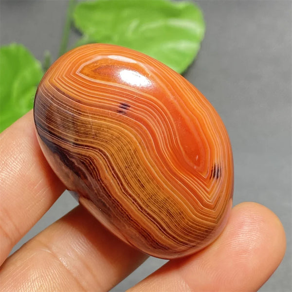 Orange Silk Lace Agate-ToShay.org