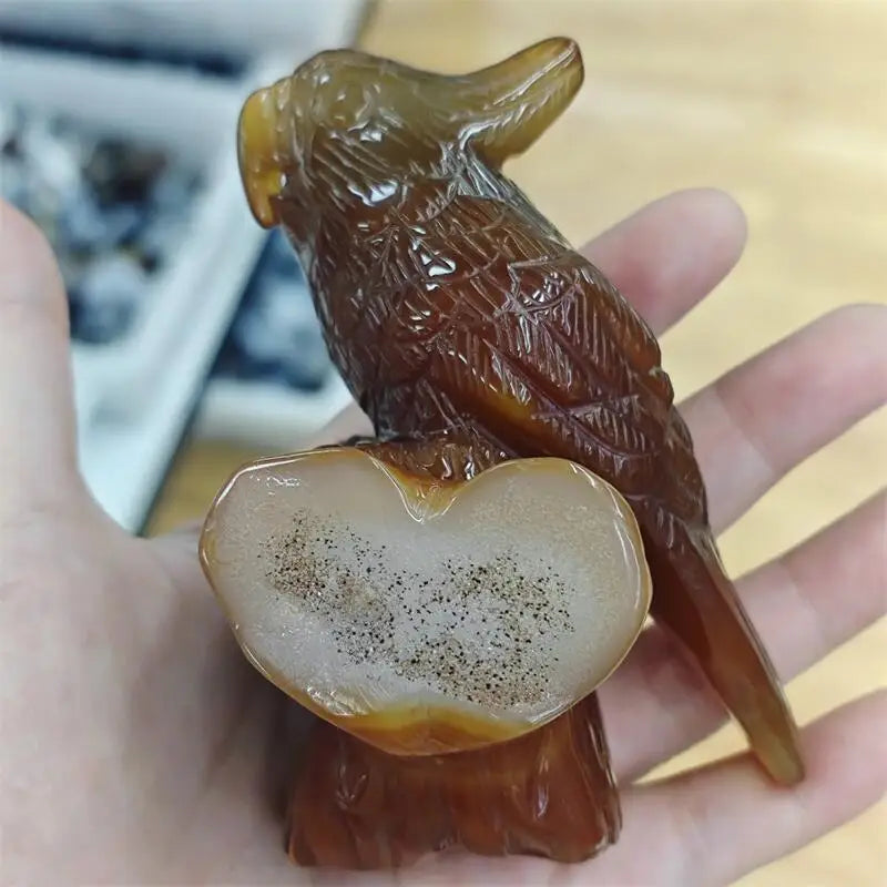Yellow Agate Geode Parrot-ToShay.org