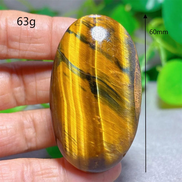 Blue Yellow Tiger Eye-ToShay.org