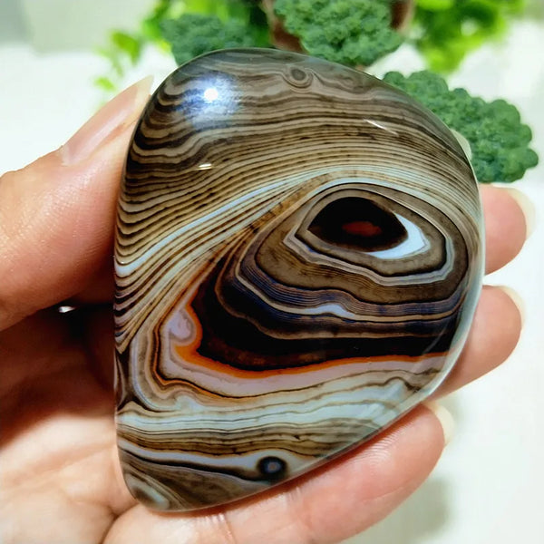 Red Lace Sardonyx Agate-ToShay.org