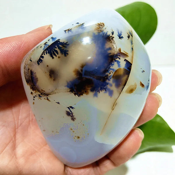 Yellow Blue Water Plant Agate-ToShay.org