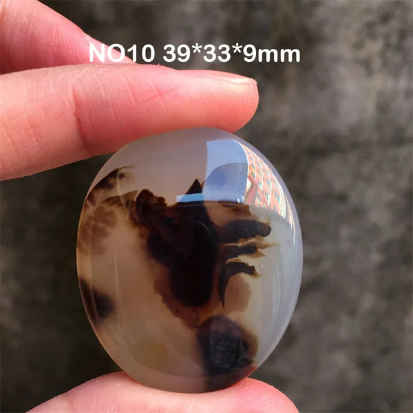 White Chalcedony Grass Agate-ToShay.org