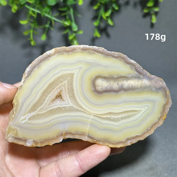 Yellow Agate Slice-ToShay.org