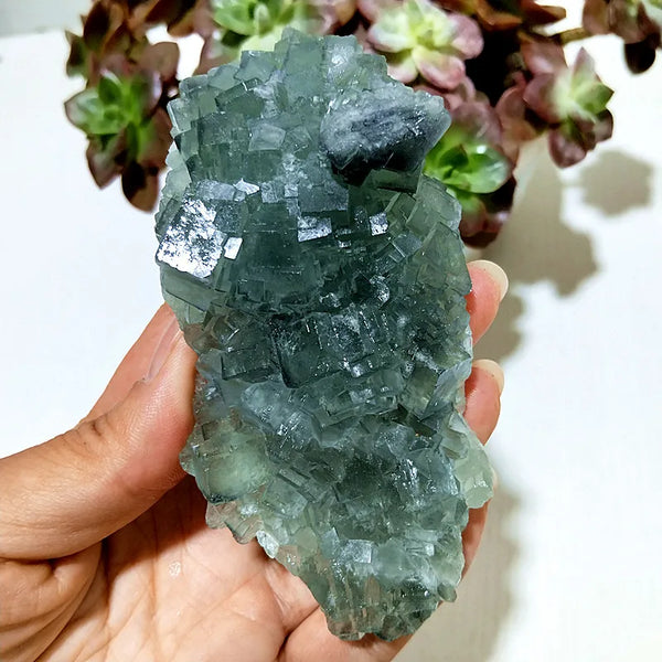 Blue Fluorite Crystal-ToShay.org