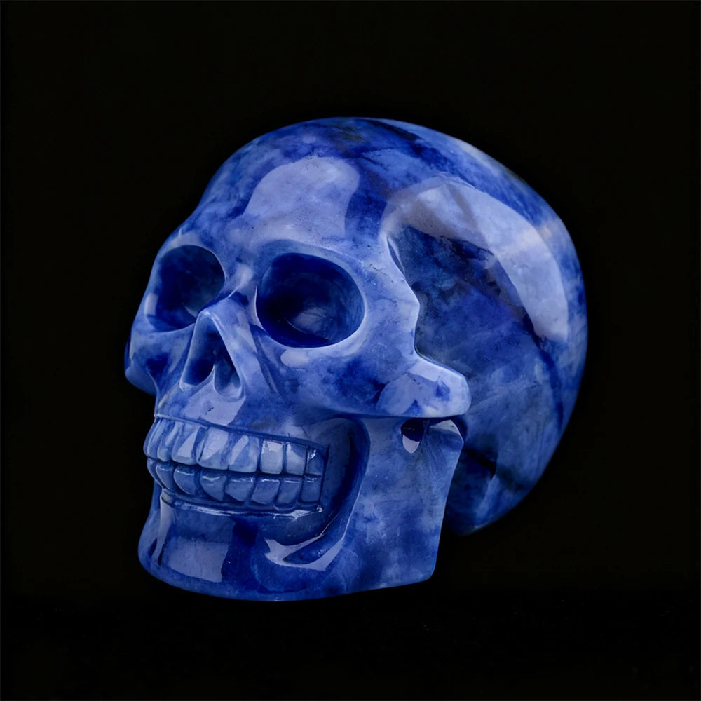 Blue White Porcelain Skull-ToShay.org