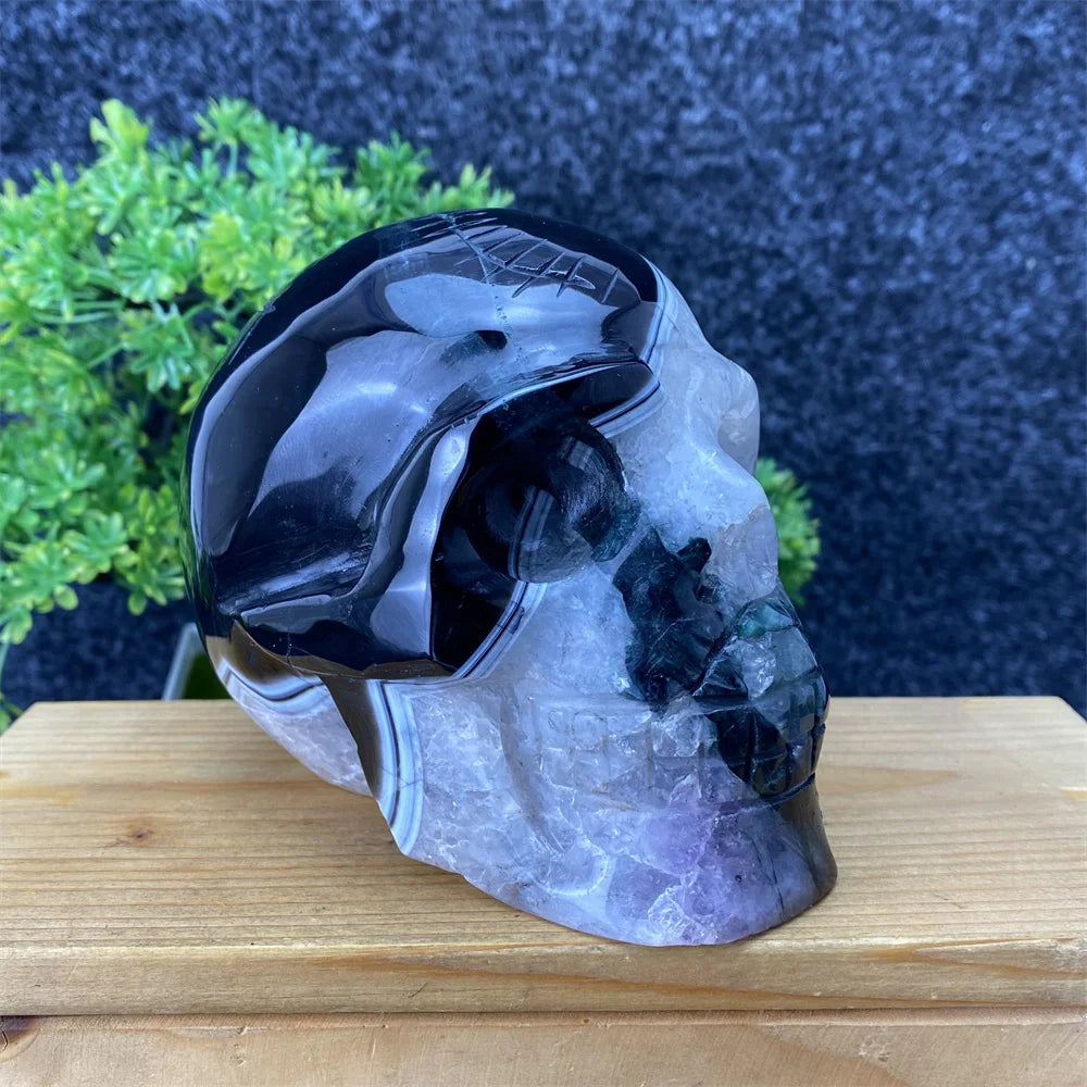 Black Agate Skull-ToShay.org