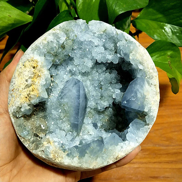 Blue Celestine Geode Crystal-ToShay.org
