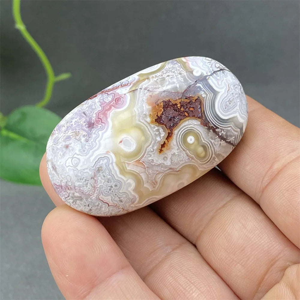 Red Lace Crazy Agate-ToShay.org