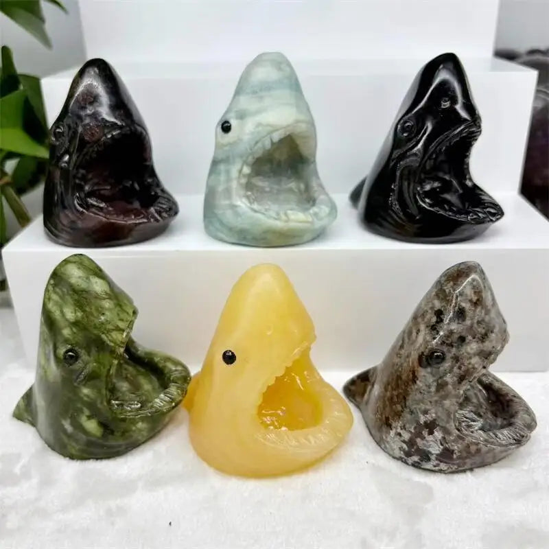 Mixed Crystal Shark Heads-ToShay.org
