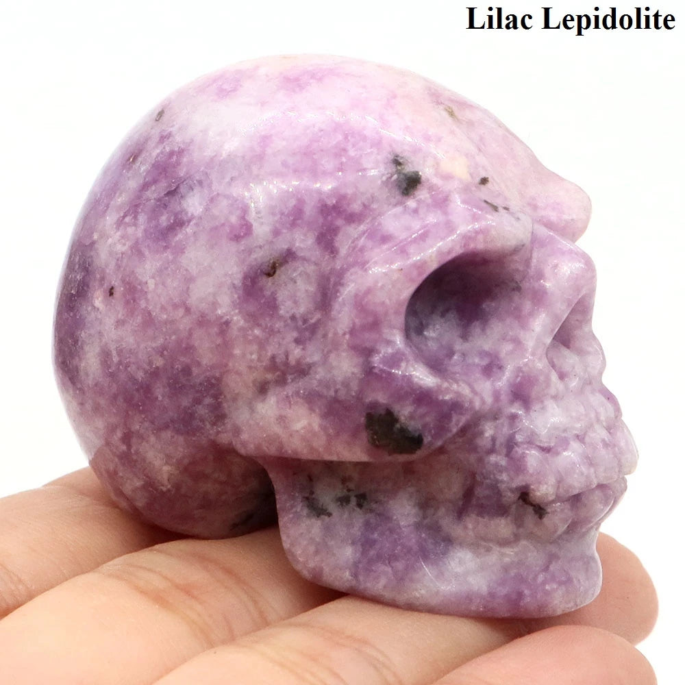 Mixed Crystal Skull-ToShay.org