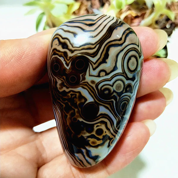 Red Lace Sardonyx Agate-ToShay.org