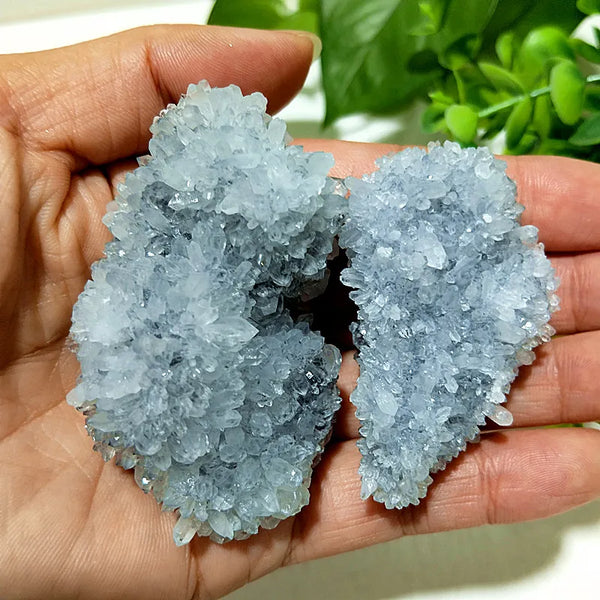 Blue Chrysanthemum Fluorite Cluster-ToShay.org