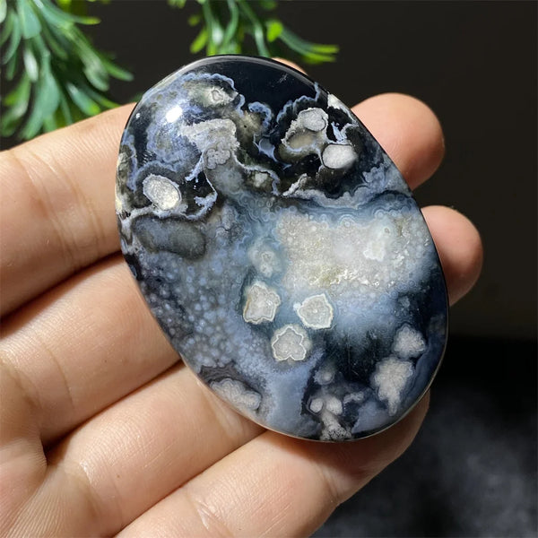 Black Flower Agate-ToShay.org