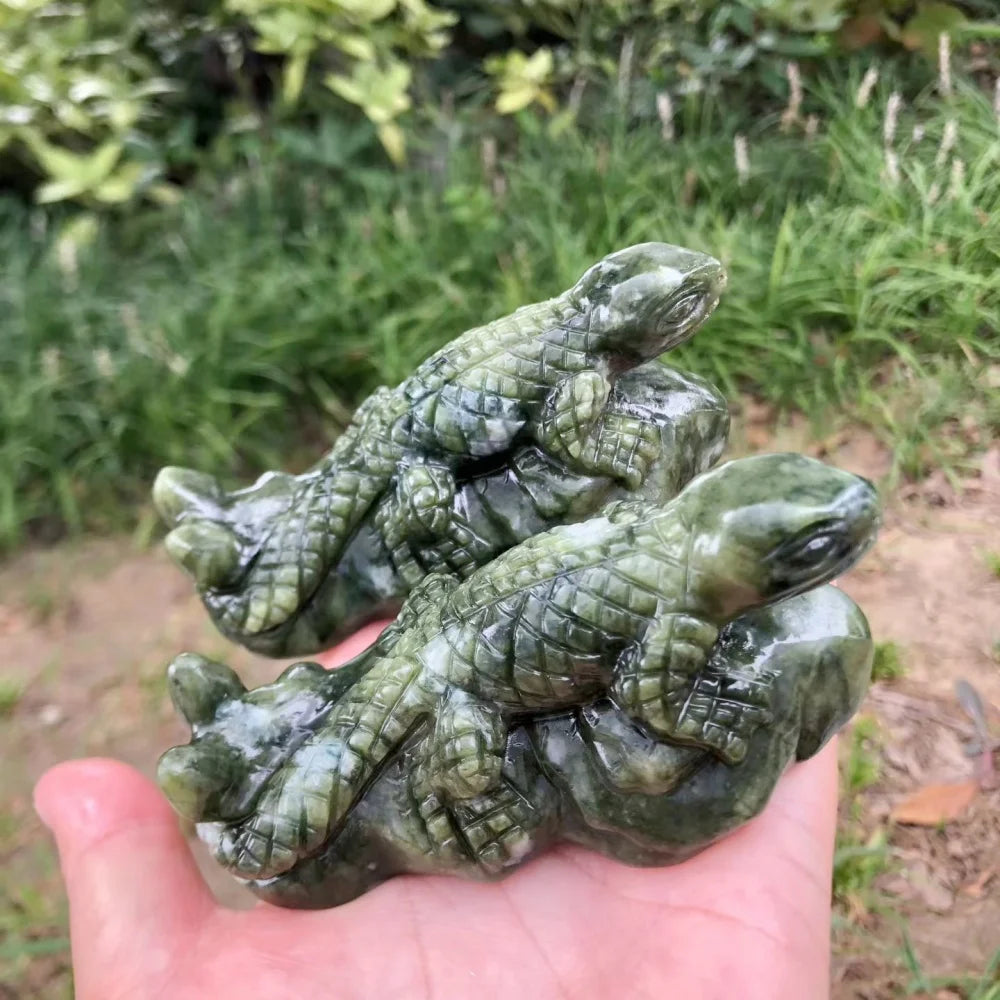 Green Jade Lizard-ToShay.org