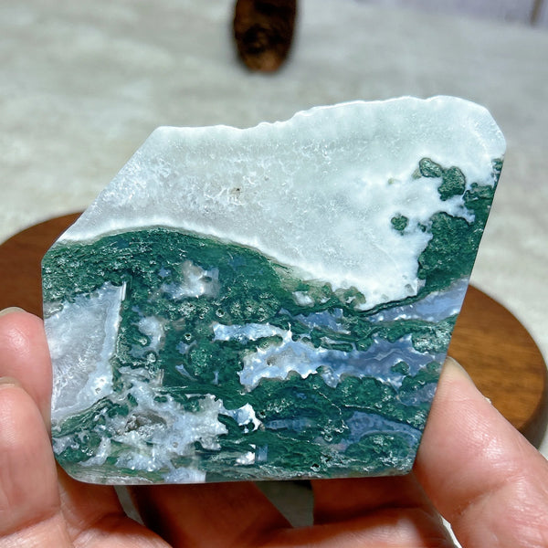 Green Moss Agate Slice-ToShay.org