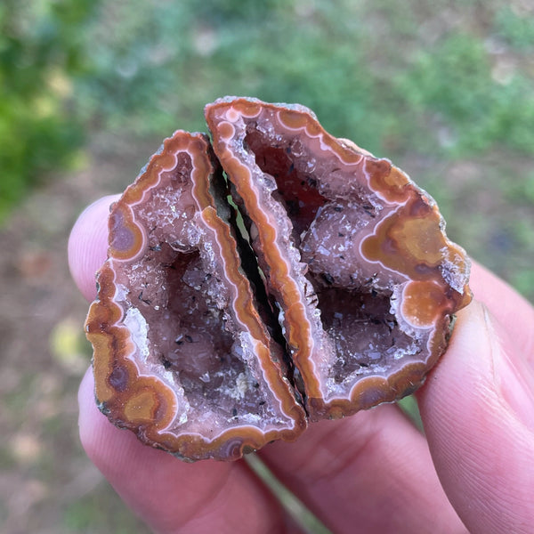 Mixed Agate Geode Egg-ToShay.org
