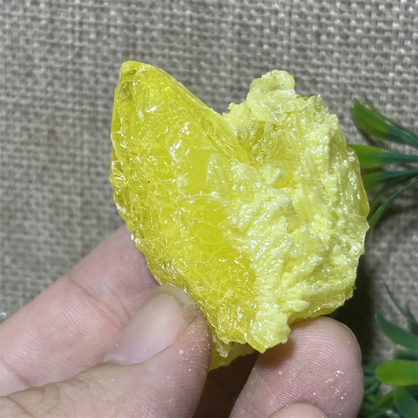 Yellow Sulphur Quartz-ToShay.org
