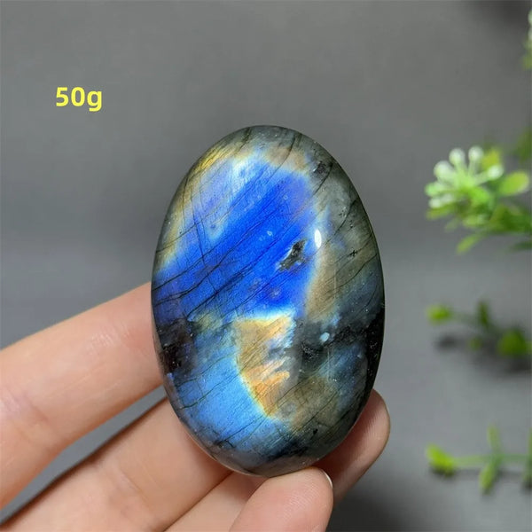 Blue Labrador Palm Stone-ToShay.org