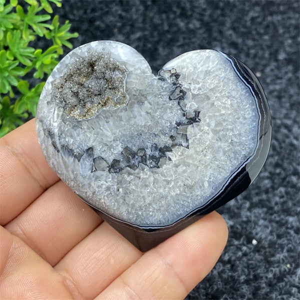 Black Agate Geode-ToShay.org