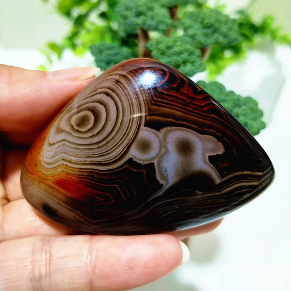 Red Lace Sardonyx Agate-ToShay.org