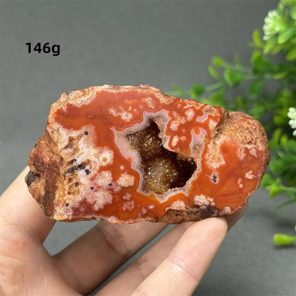 Red Cherry Blossom Agate-ToShay.org