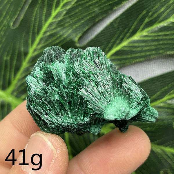 Green Malachite Silk Luster Crystal-ToShay.org
