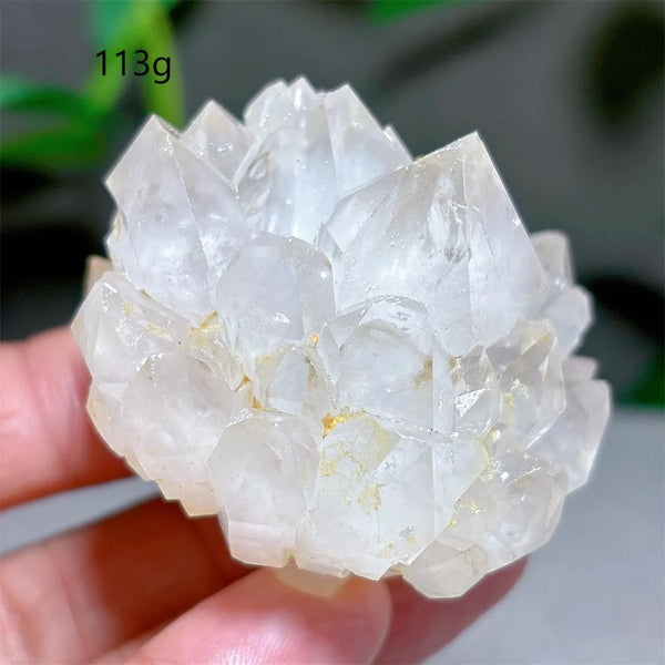 Clear Lotus Backbone Quartz Cluster-ToShay.org