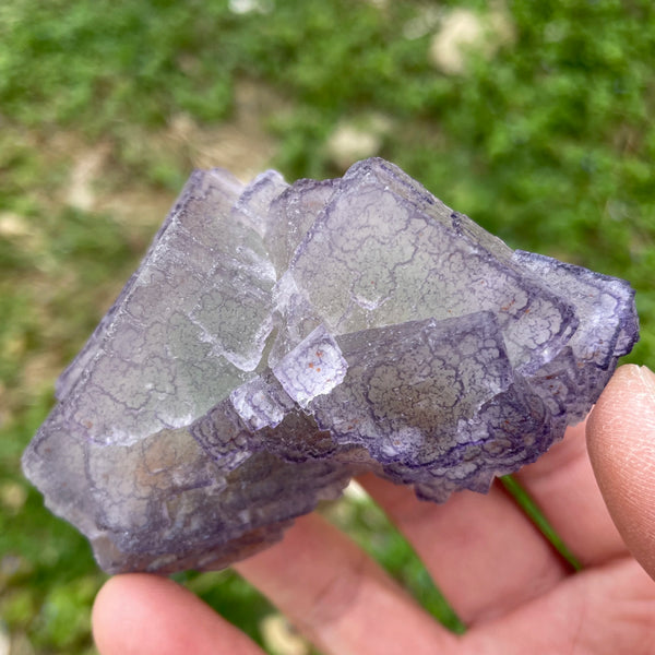 Purple Edge Fluorite-ToShay.org