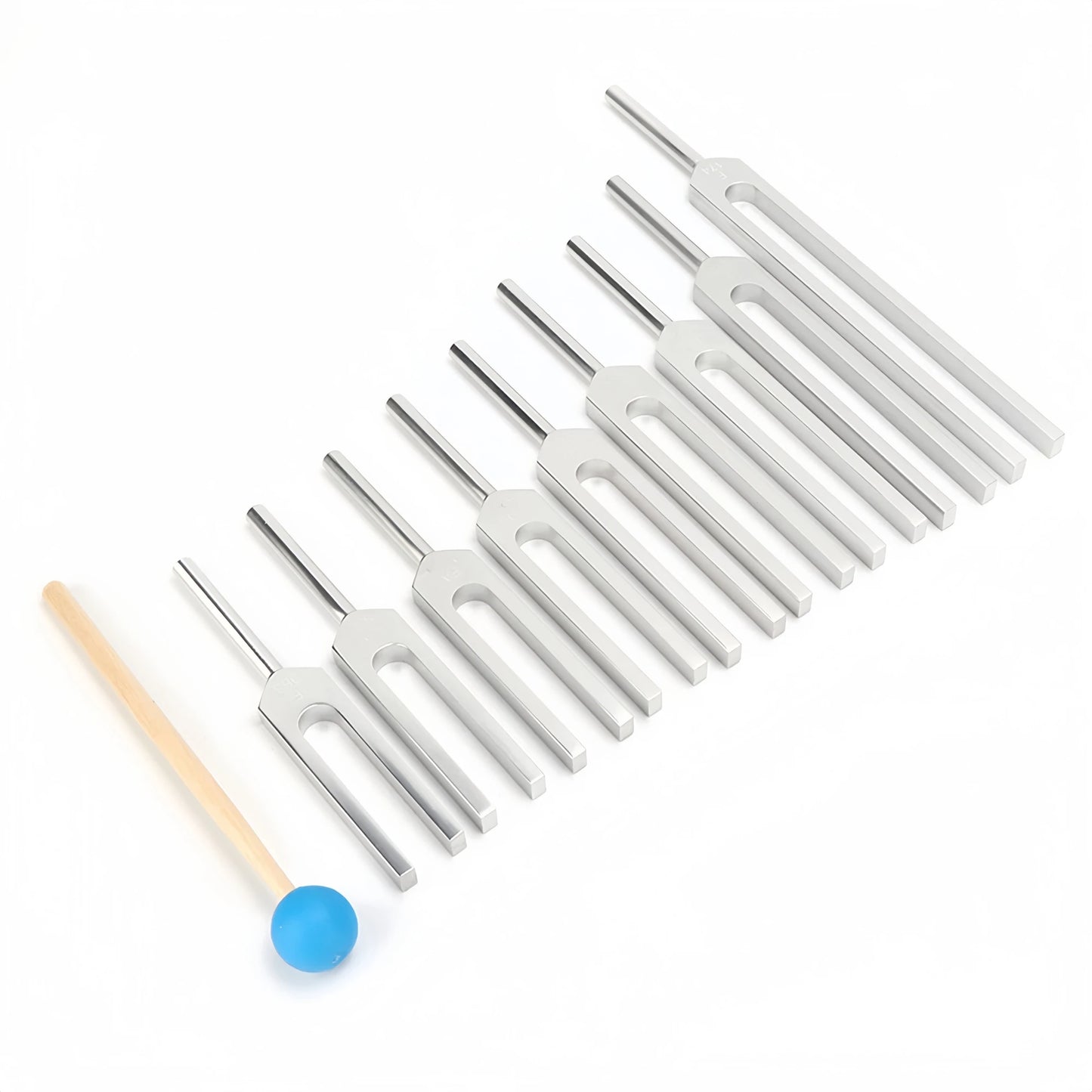 Tuning Forks Set-ToShay.org