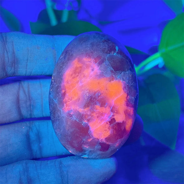 Rainbow Sodalite Palm Stone-ToShay.org