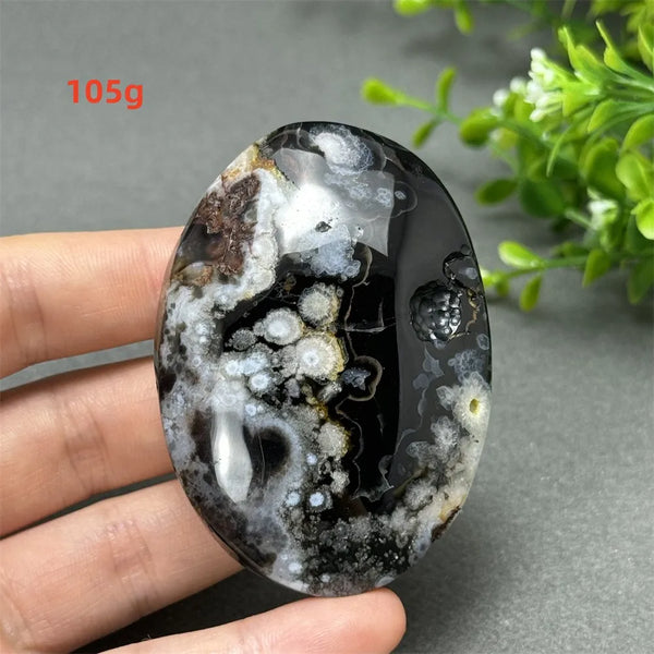 Black Cherry Blossom Agate-ToShay.org