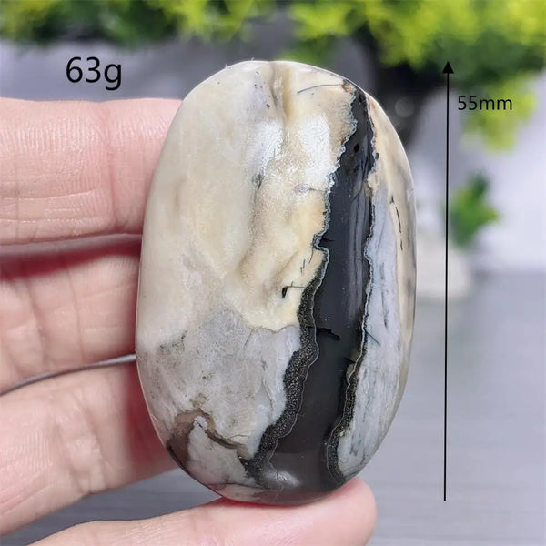 Fire Agate Palm Stone-ToShay.org