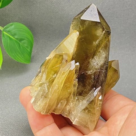 Yellow Black Smoky Quartz-ToShay.org