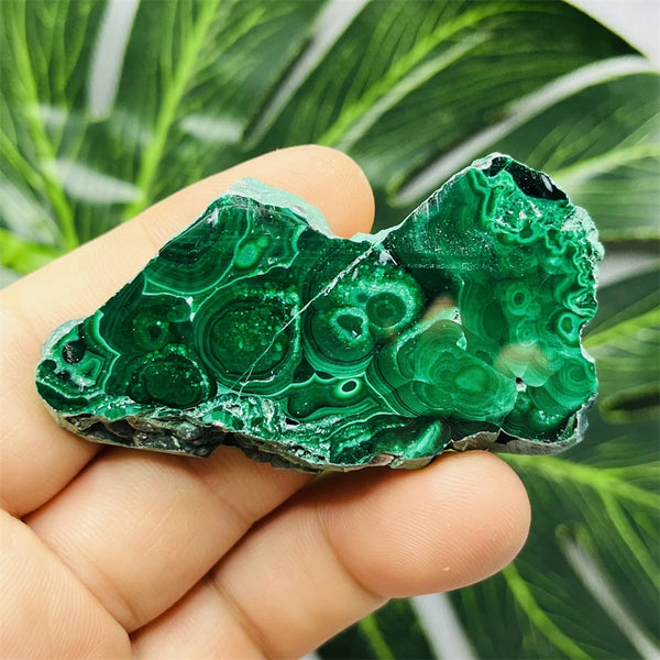 Green Eyes Malachite-ToShay.org