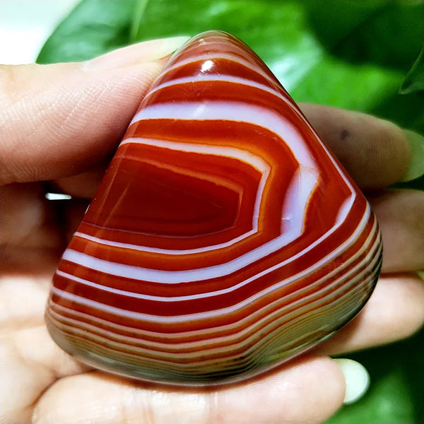 Red Lace Sardonyx Agate-ToShay.org