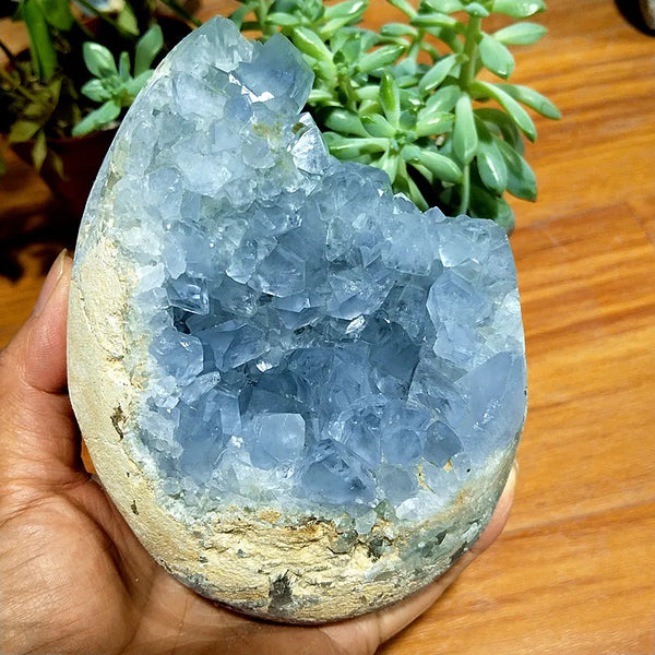 Blue Celestite Geode Crystal-ToShay.org