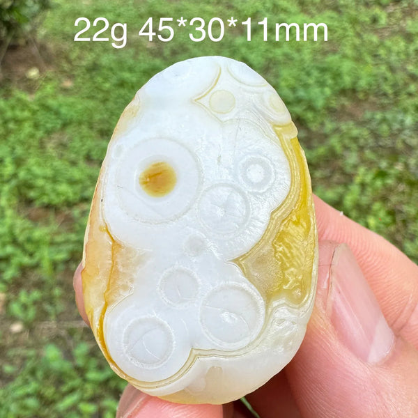 Brown Gobi Eye Agate-ToShay.org