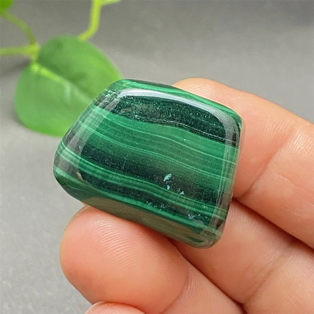 Green Malachite Tumbled Stone-ToShay.org