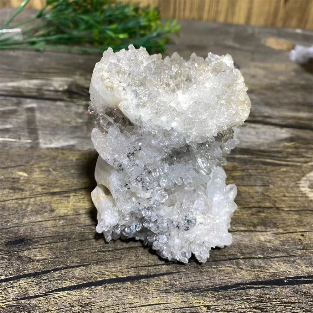 White Chrysanthemum Stone Skull-ToShay.org