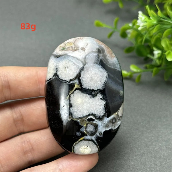Black Cherry Blossom Agate-ToShay.org