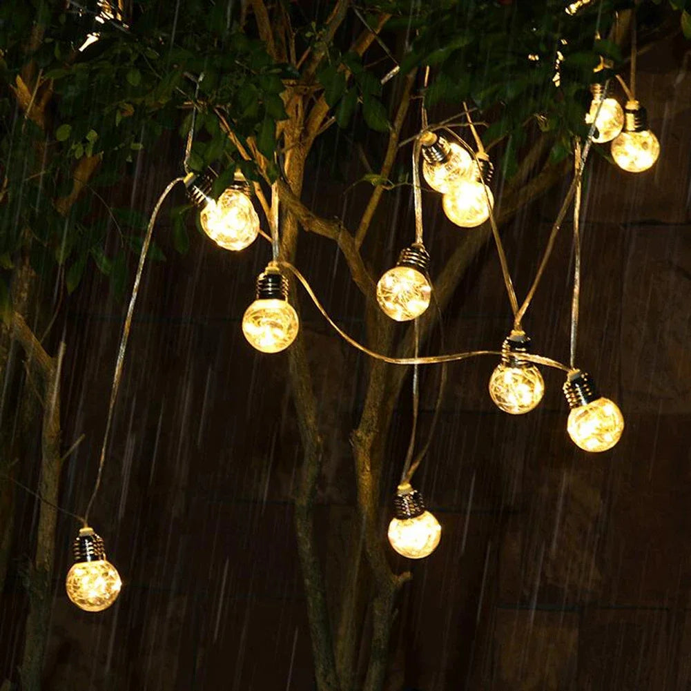 Bulb String Lights-ToShay.org