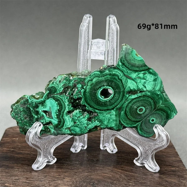 Green Malachite Raw Slice-ToShay.org