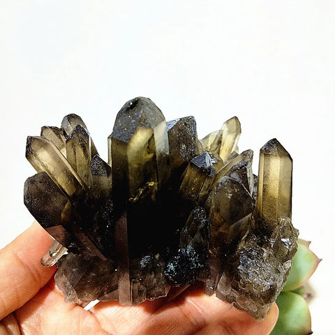 Smoky Quartz Crystal Cluster-ToShay.org