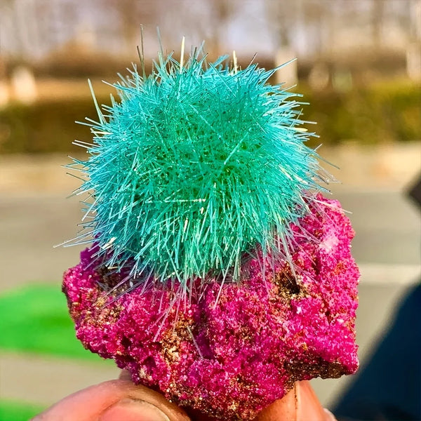 Green Zeolite Crystal Clusters-ToShay.org
