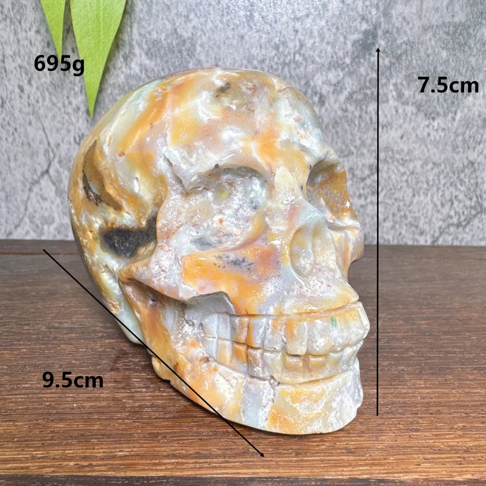 Grey Amzonite Skull-ToShay.org