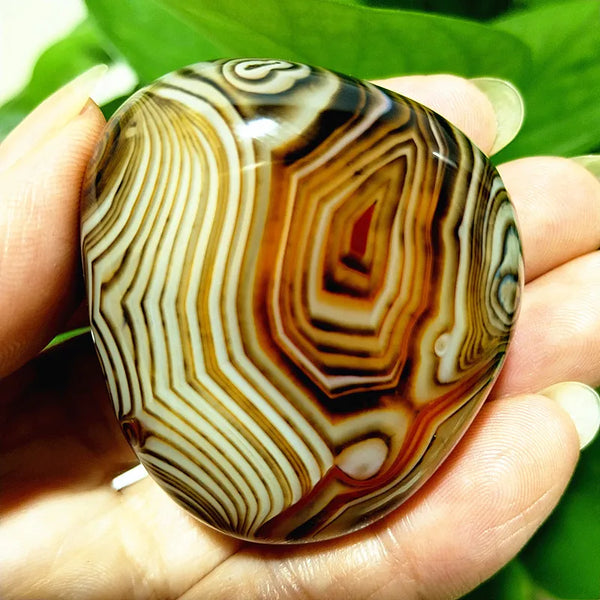 Red Lace Sardonyx Agate-ToShay.org
