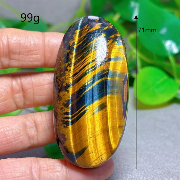 Blue Yellow Tiger Eye-ToShay.org