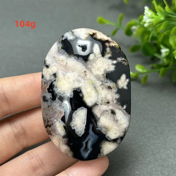 Black Cherry Blossom Agate-ToShay.org