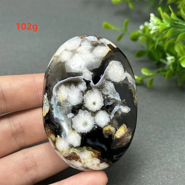 Black Cherry Blossom Agate-ToShay.org