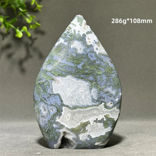 Green Aquatic Plant Agate-ToShay.org